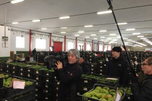 Los reporteros de NHK, la televisión japonesa, en las instalaciones de Agrupalmería.