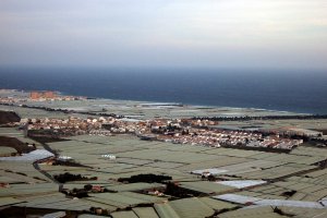 Llanos   de Carchuna, donde medran los invernaderos hortofrutícolas y donde operan con centros propios varias empresas almerienses.