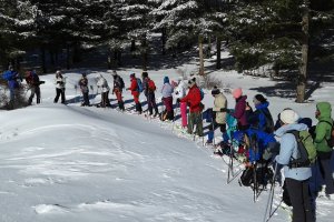 Actividades en la naturaleza.
