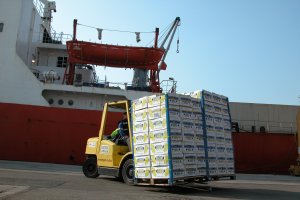 Movimiento   de mercancías hortofrutícolas en el Puerto.