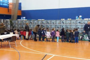 Los escolares han visitado la exposición para conocer de cerca las palomas.