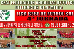 El programa de partidos.