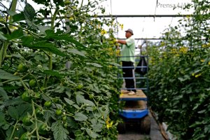 Imagen de la finca experimental UAL-Anecoop, ubicada en La Cañada de San Urbano (Almería).