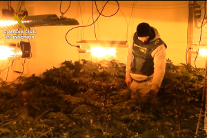 Una de las zonas de cultivo.