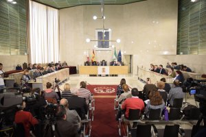 Plenario del Ayuntamiento de Almería