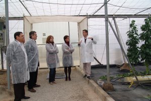 La Estación Experimental de Cajamar es un centro donde se testan las nuevas variedades de producto que luego serán comercializadas.