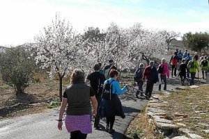 Ruta del Almendro de Albox de hace unos años.