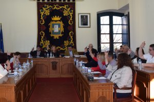 Un momento  del Pleno, que se celebró en la tarde de ayer.