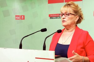 Adela Segura, secretaria de Política Municipal e Institucional del PSOE de Almería.
