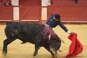 Jesús Almería volvía a hacer el paseíllo en su plaza cortando una oreja.
