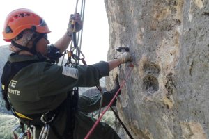 Un agente, colgado de la pared mientras retira las vías de escalada.