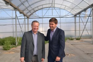 Los concejales de Agricultura, José Galdeano, y Empleo, José Juan Rodríguez, en el invernadero municipal.