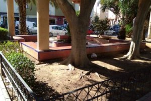 Jardín deteriorado en el Zapillo.