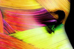 Detalle del nuevo cartel del Festival de Teatro de El Ejido.