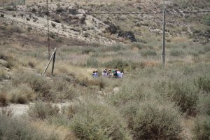 Terrenos contaminados en Palomares.