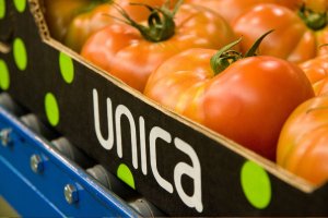 La cooperativa Unica Group se destaca como potencia exportadora a los mercados europeos.