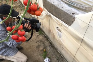 Invernadero donde fue descubierto el cuerpo del presunto agresor