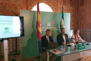 Presentación del estudio