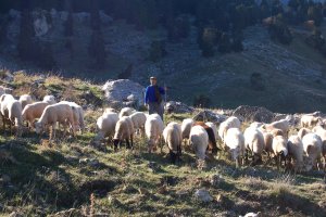 Los pastores atraviesan por un momento crítico