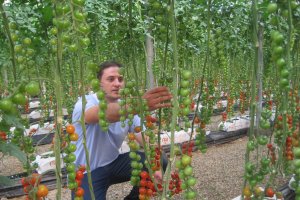 Un joven agricultor controla su explotación.