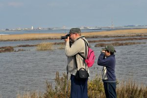 Las rutas por los distintos escenarios, como Punta Entinas-Sabinar, están abiertas a todo el público.