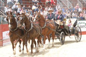 Amantes del mundo equestre han podido disfrutar durante dos días en Adra de un gran número de actividades, con los equinos como protagonistas, donde 