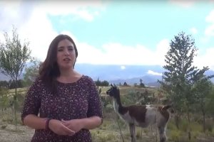 Almudena Puertas, voluntaria de Cáritas.