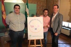 EL coordinador del IAJ, Francisco Pizarro (centro) junto a Ramón Soto y J.M. Martín.