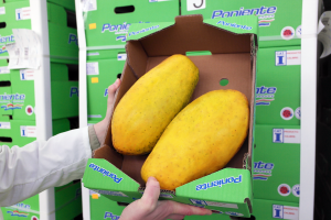 Papayas de la marca "Tropical Poniente".