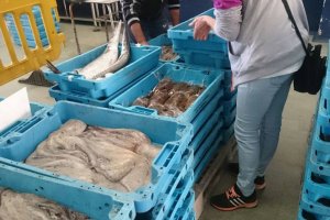Capturas   de pulpo de los últimos días en la lonja de Almería para su venta.