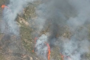 Imagen del incendio cedida por el Infoca