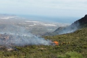 Imagen de ayer del Plan Infoca del incendio.