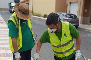 Operarios encargados del trabajo en la red de saneamiento.