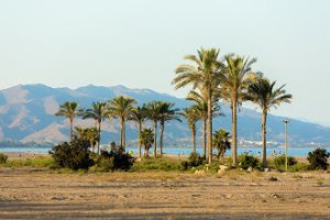 Las playas de Las Marinas-Bolaga (Vera), Los Nardos (Pulpí), Pozo del Esparto (Cuevas del Almanzora) y El Cantal (Mojácar), son cuatro de las que luc