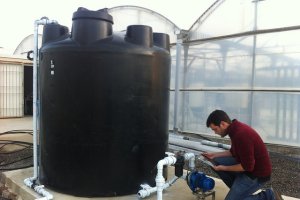 Un trabajador del equipo que ha desarrollado la aplicación móvil.