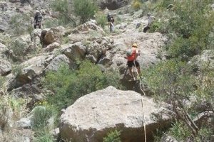 Una nueva experiencia del PMD te está esperando.