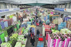El mercado de Rungis (París), el mayor mercado mayorista de Francia.