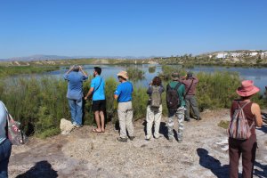 El salar de los Canos es uno de los humedales más importantes de la provincia, albergando hasta 15 especies animales en peligro de extinción.
