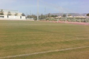 Así está el césped del Anexo.