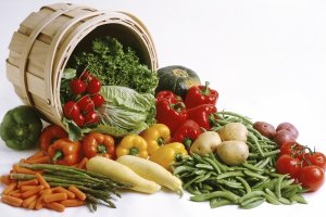 La producción ecológica encuentra diferentes criterios según cada país dentro de la Unión Europea.