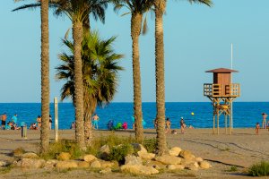 Vera ya ha presentado su candidatura para dar nombre al nuevo coche.