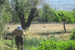 La biodiversidad es la memoria vegetal de un pueblo.