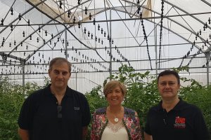 Los investigadores Ángel Carreño, Emilio Galdeano y Mari Carmen Galera