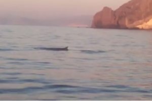 Lugar en el que se vieron.