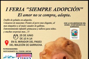 Cartel anunciador de la actividad.