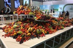 Las hortalizas son los productos más exportados