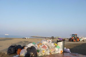 Basura recogida esta mañana en la capital.