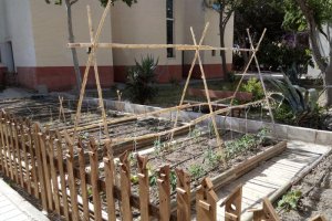 El Centro de Acogida cuenta con un huerto urbano ecológico en el que los usuarios de larga duración trabajan en su mantenimiento.