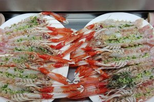 Gambas rojas, quisquillas, bogavantes, almejas, atunes, salmonetes, boquerones, calamares todos ellos recién sacados del mar, son solo algunos de lo