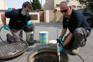 Las alcantarillas, uno de los refugios de las cucarachas